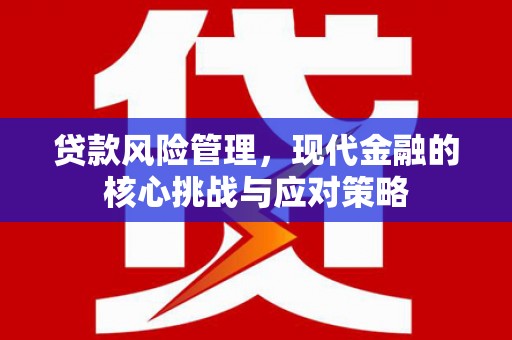 昭化贷款风险管理，现代金融的核心挑战与应对策略