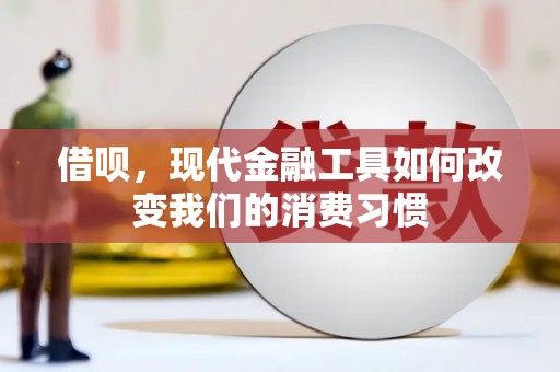 昭化借呗，现代金融工具如何改变我们的消费习惯
