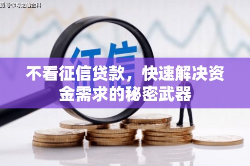 昭化不看征信贷款，快速解决资金需求的秘密武器