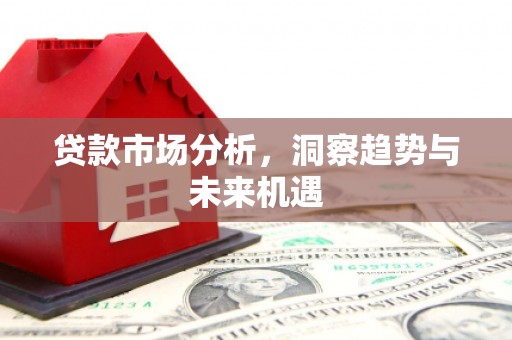 昭化贷款市场分析，洞察趋势与未来机遇