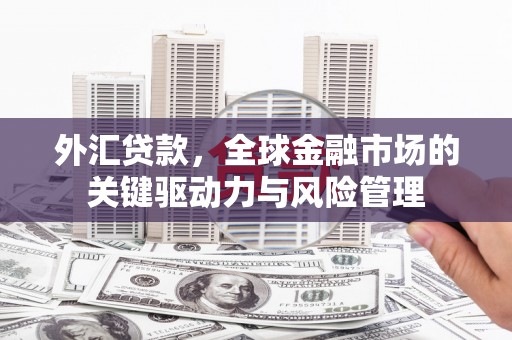 昭化外汇贷款，全球金融市场的关键驱动力与风险管理
