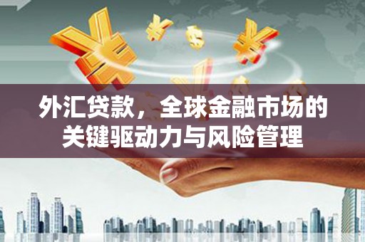 昭化外汇贷款，全球金融市场的关键驱动力与风险管理