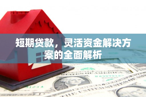 昭化短期贷款，灵活资金解决方案的全面解析