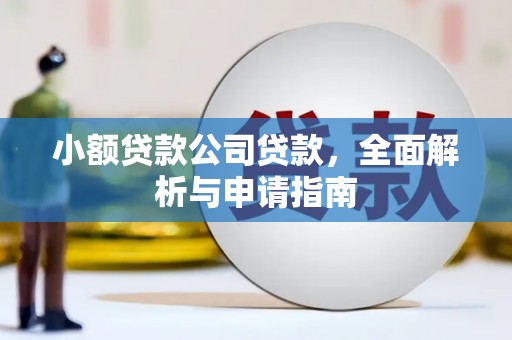 昭化小额贷款公司贷款，全面解析与申请指南