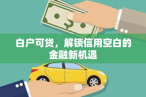 昭化白户可贷，解锁信用空白的金融新机遇