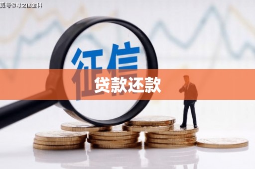 昭化贷款还款