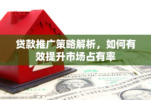 昭化贷款推广策略解析，如何有效提升市场占有率