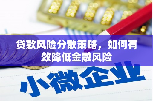 昭化贷款风险分散策略，如何有效降低金融风险