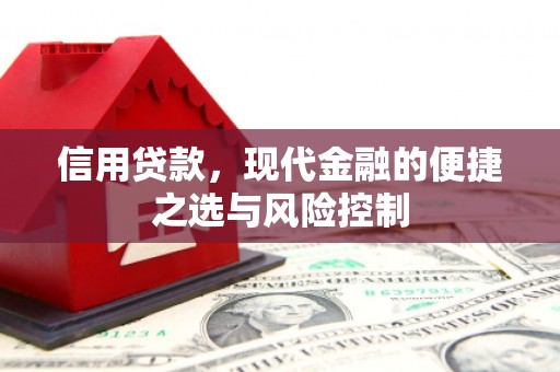 昭化信用贷款，现代金融的便捷之选与风险控制