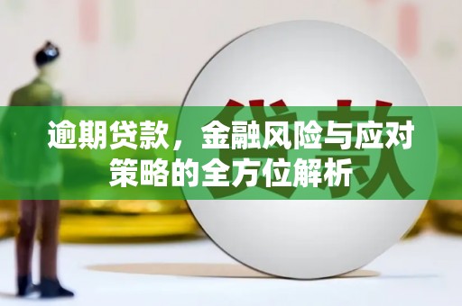昭化逾期贷款，金融风险与应对策略的全方位解析