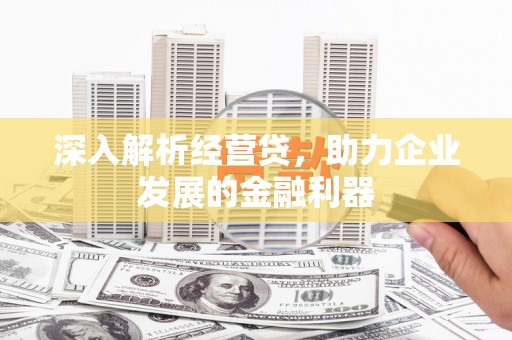 昭化深入解析经营贷，助力企业发展的金融利器