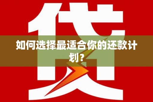 昭化如何选择最适合你的还款计划？
