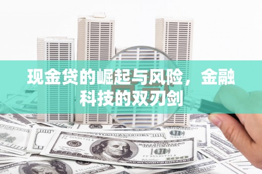 昭化现金贷的崛起与风险，金融科技的双刃剑