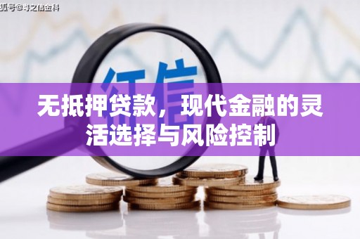 昭化无抵押贷款，现代金融的灵活选择与风险控制