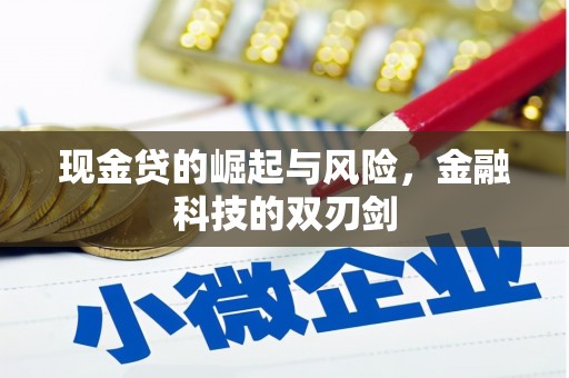 昭化现金贷的崛起与风险，金融科技的双刃剑
