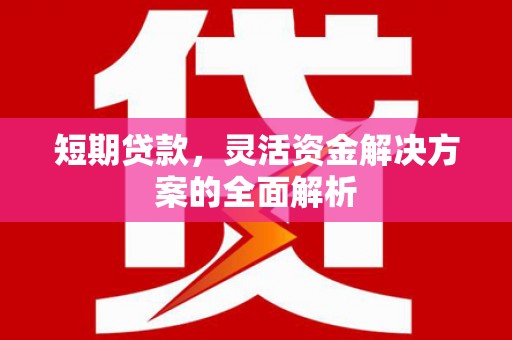 昭化短期贷款，灵活资金解决方案的全面解析