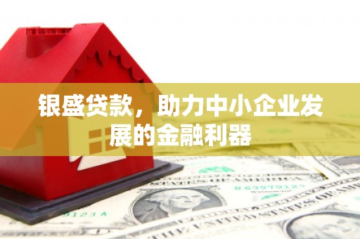 昭化银盛贷款，助力中小企业发展的金融利器