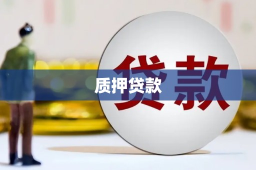 昭化质押贷款