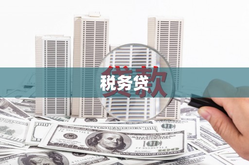 昭化税务贷