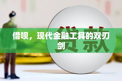 昭化借呗，现代金融工具的双刃剑