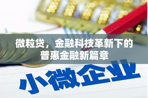 昭化微粒贷，金融科技革新下的普惠金融新篇章