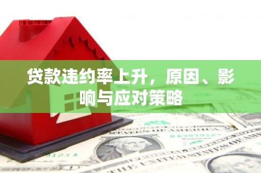 昭化贷款违约率上升，原因、影响与应对策略