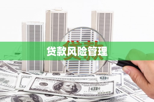 昭化贷款风险管理