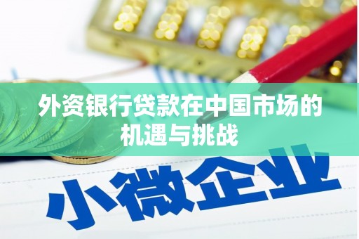 昭化外资银行贷款在中国市场的机遇与挑战