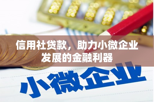 昭化信用社贷款，助力小微企业发展的金融利器