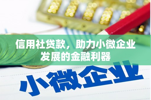 昭化信用社贷款，助力小微企业发展的金融利器