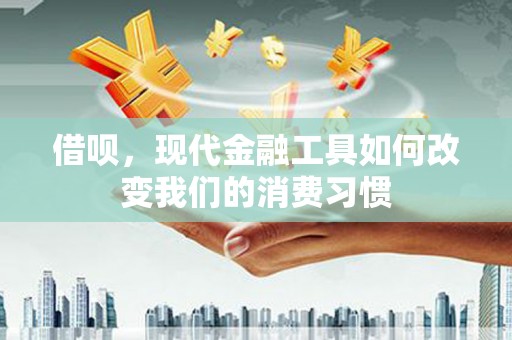 昭化借呗，现代金融工具如何改变我们的消费习惯