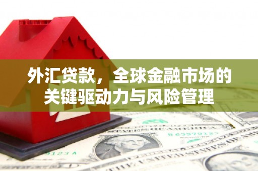 昭化外汇贷款，全球金融市场的关键驱动力与风险管理