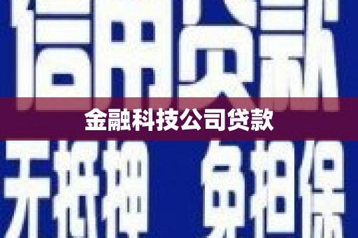 昭化金融科技公司贷款