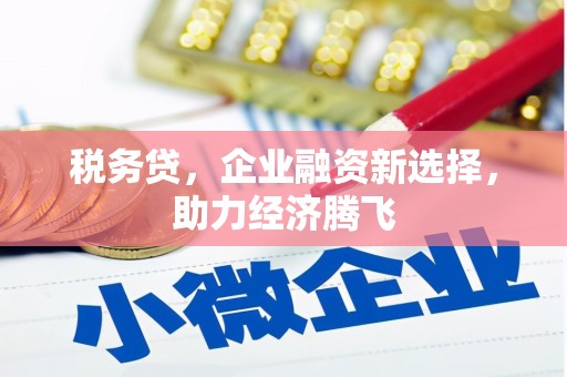 昭化税务贷，企业融资新选择，助力经济腾飞
