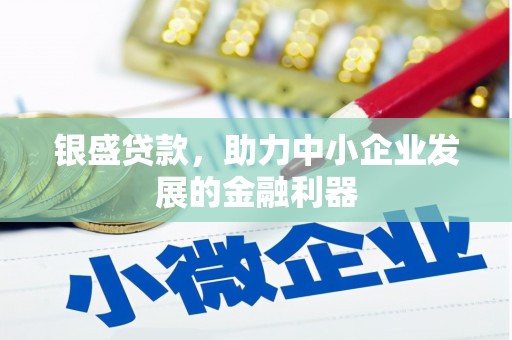 昭化银盛贷款，助力中小企业发展的金融利器