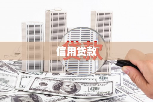 昭化信用贷款
