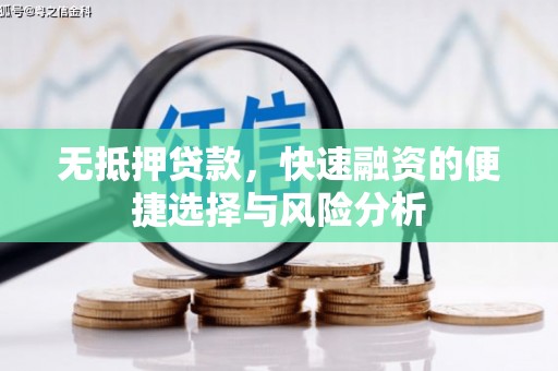 昭化无抵押贷款，快速融资的便捷选择与风险分析