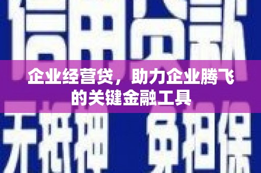 昭化企业经营贷，助力企业腾飞的关键金融工具