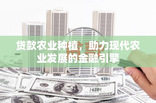 昭化贷款农业种植，助力现代农业发展的金融引擎