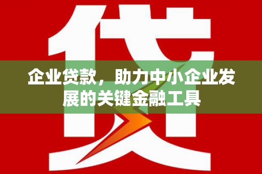昭化企业贷款，助力中小企业发展的关键金融工具