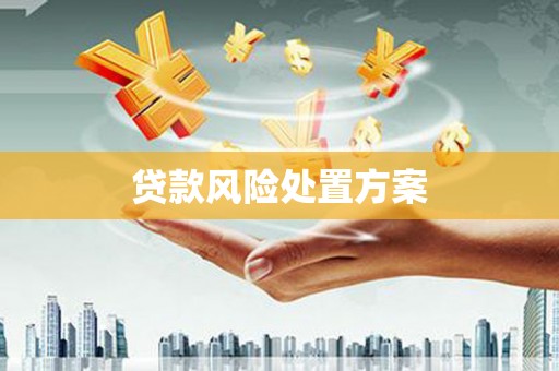 昭化贷款风险处置方案
