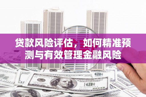 昭化贷款风险评估，如何精准预测与有效管理金融风险