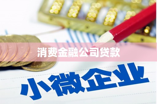 昭化消费金融公司贷款