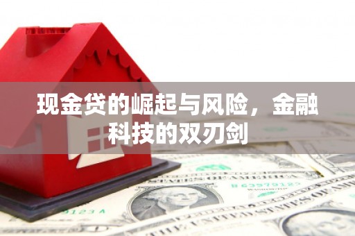昭化现金贷的崛起与风险，金融科技的双刃剑