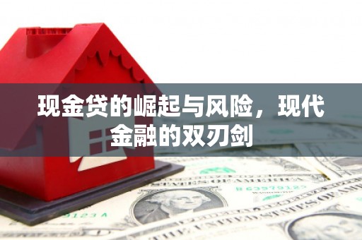 昭化现金贷的崛起与风险，现代金融的双刃剑