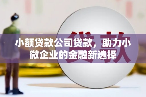 昭化小额贷款公司贷款，助力小微企业的金融新选择