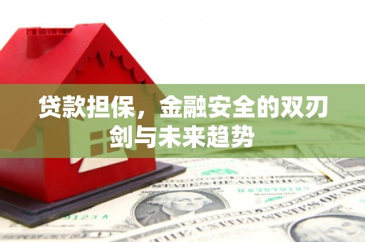 昭化贷款担保，金融安全的双刃剑与未来趋势