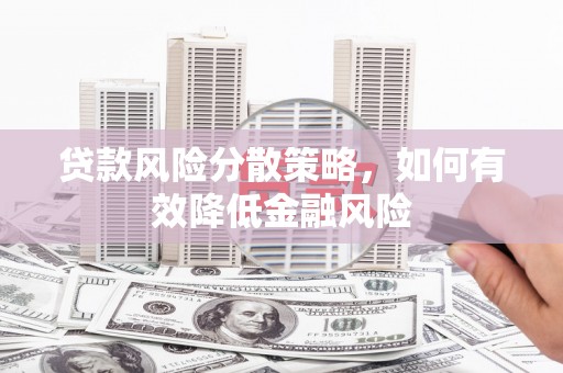 昭化贷款风险分散策略，如何有效降低金融风险