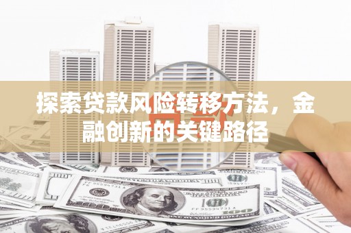 昭化探索贷款风险转移方法，金融创新的关键路径