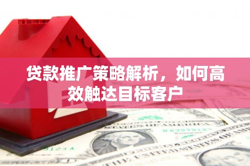 昭化贷款推广策略解析，如何高效触达目标客户